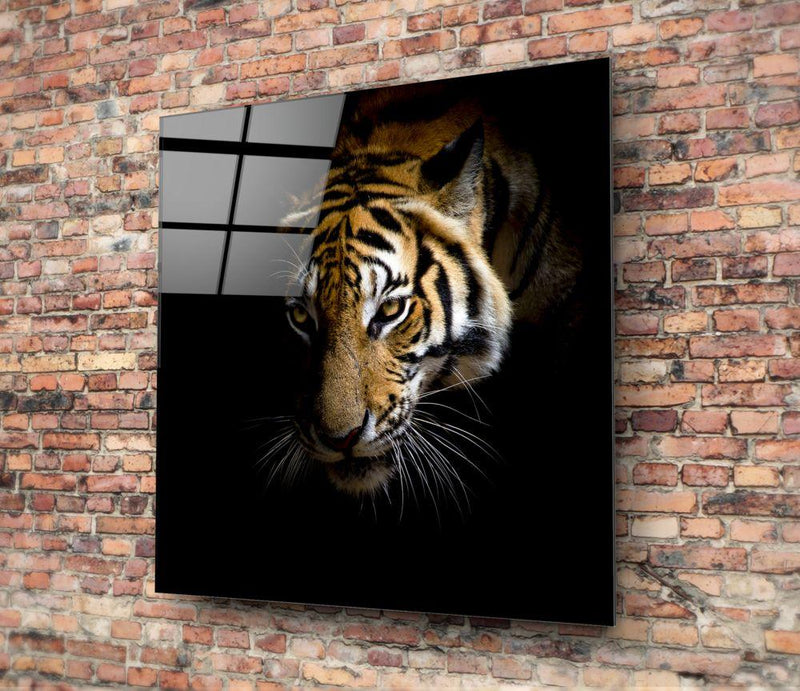 Tableau en verre - Regard intrépide du tigre - Cam tablo - Kaplan?n gözüpek bak??? - Glasbild - Unerschrockener Blick des Tigers