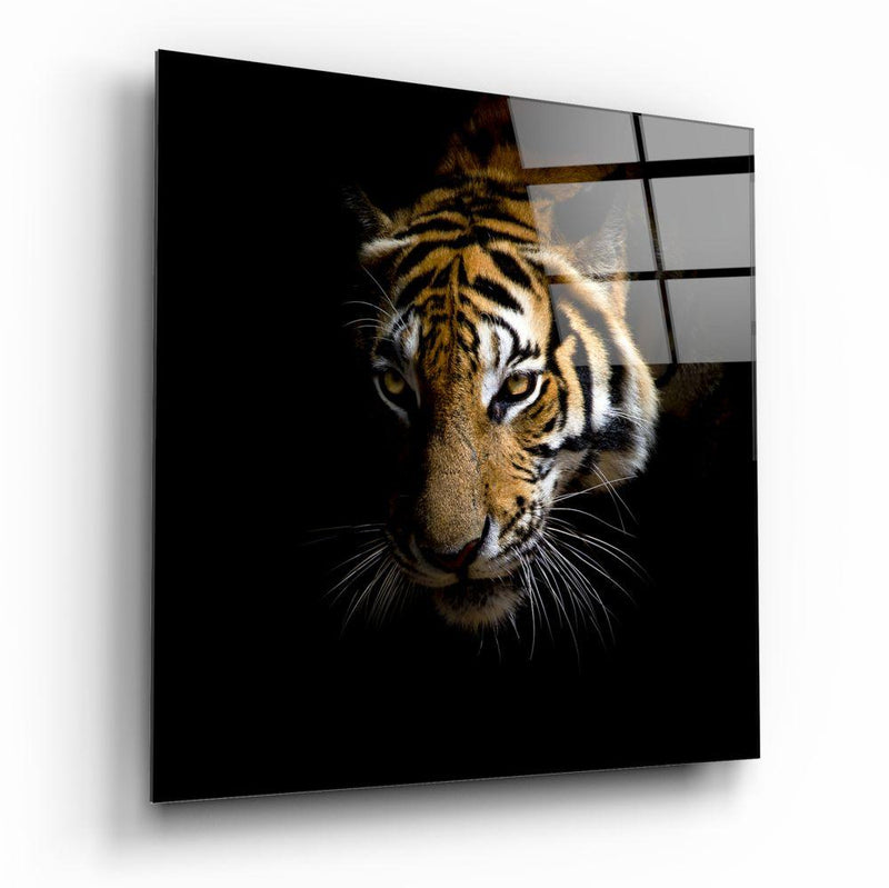 Tableau en verre - Regard intrépide du tigre - Cam tablo - Kaplan?n gözüpek bak??? - Glasbild - Unerschrockener Blick des Tigers